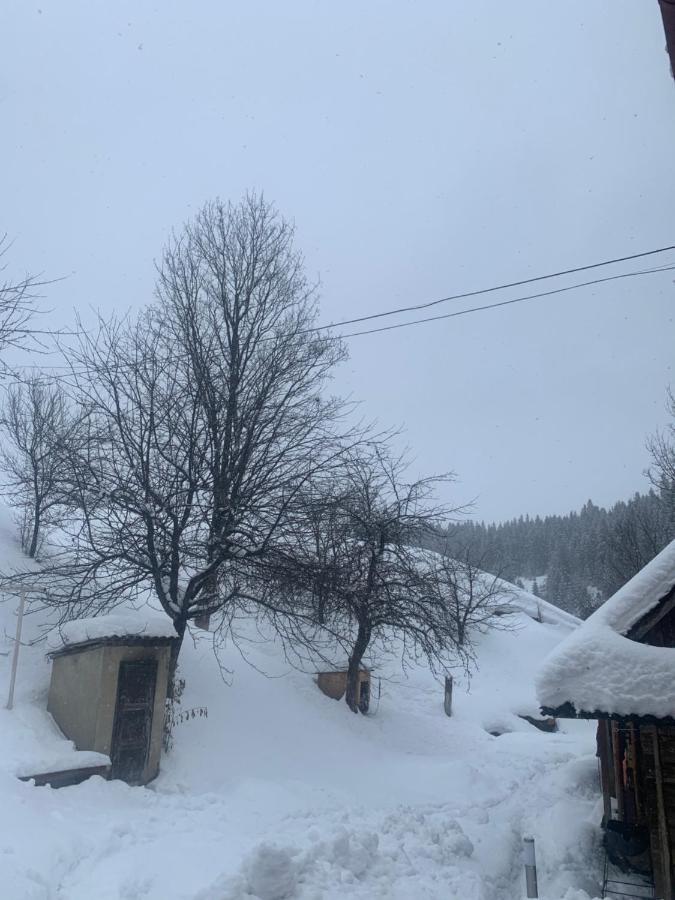 Cottage house Podobovets Luaran gambar
