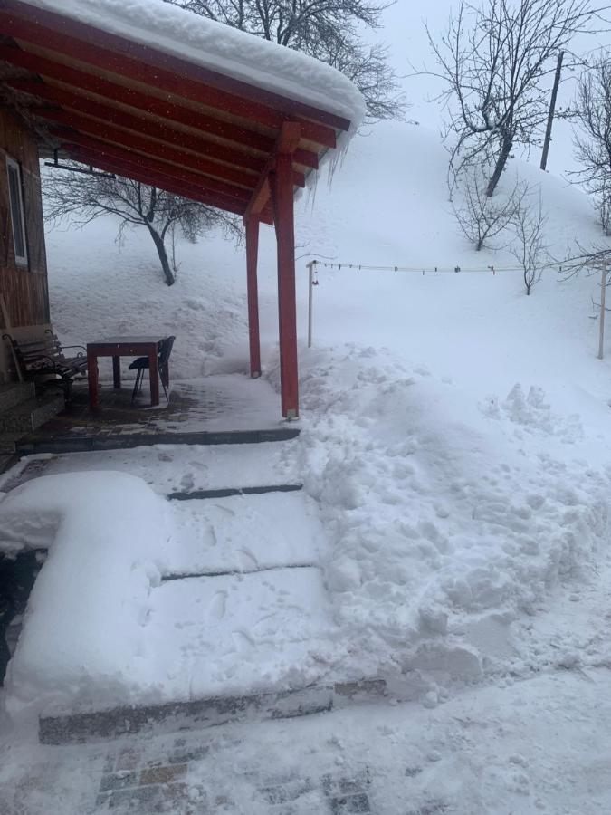 Cottage house Podobovets Luaran gambar