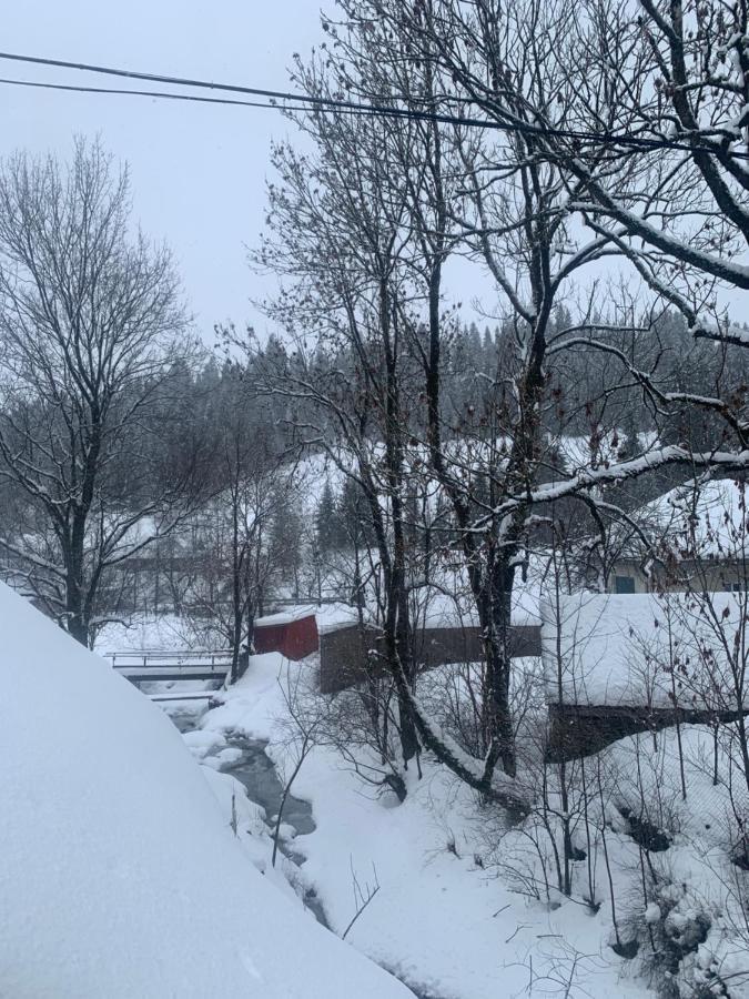 Cottage house Podobovets Luaran gambar