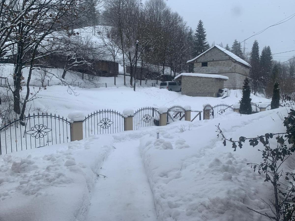 Cottage house Podobovets Luaran gambar