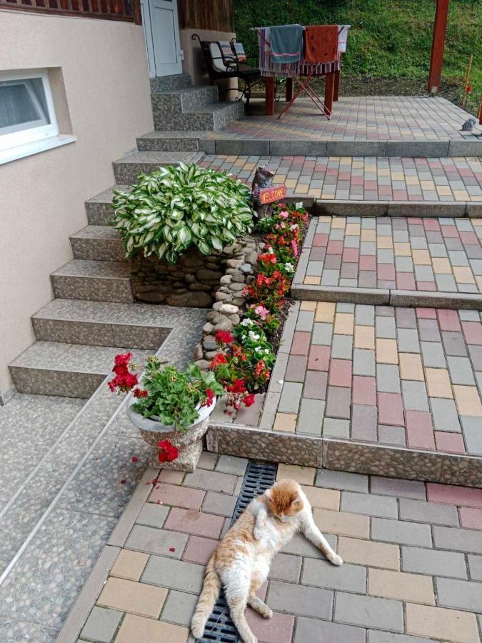 Cottage house Podobovets Luaran gambar